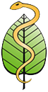 Logo Berufs- und Fachverband der Freien Heilpraktiker
